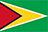Guyana Elite League