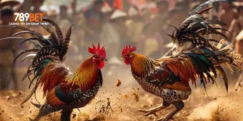 Đá Gà 789bet – Tận Hưởng Cá cược Kịch Tính Và Hấp Dẫn Nhất - Ảnh 1