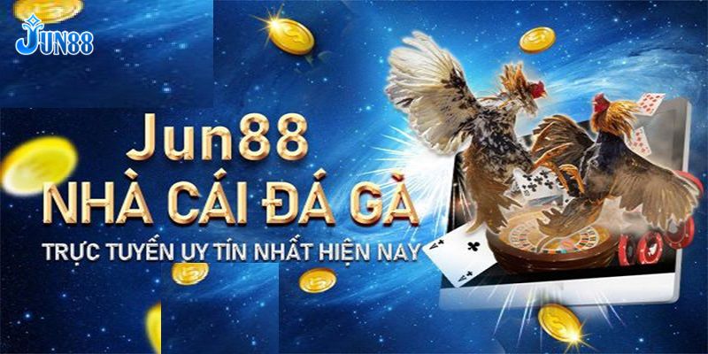 Đá Gà Jun88 – Tham Gia Trận Đá Gà Trực Tuyến Đỉnh Cao - Ảnh 2