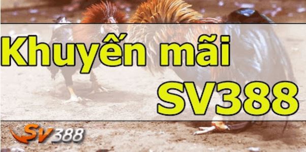 Siêu khuyến mãi Sv388 – Thưởng cực khủng cho thành viên mới - Ảnh 2