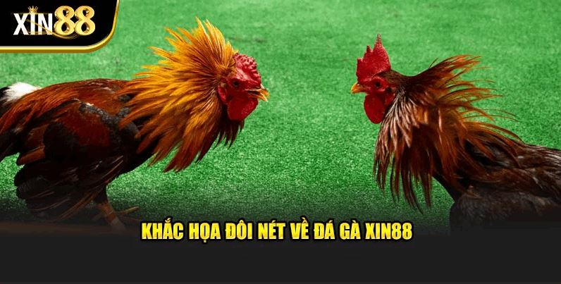 Đá Gà Xin88 – Hòa Mình Vào Cuộc Đua Với Sàn Cược Tinh Tế - Ảnh 2