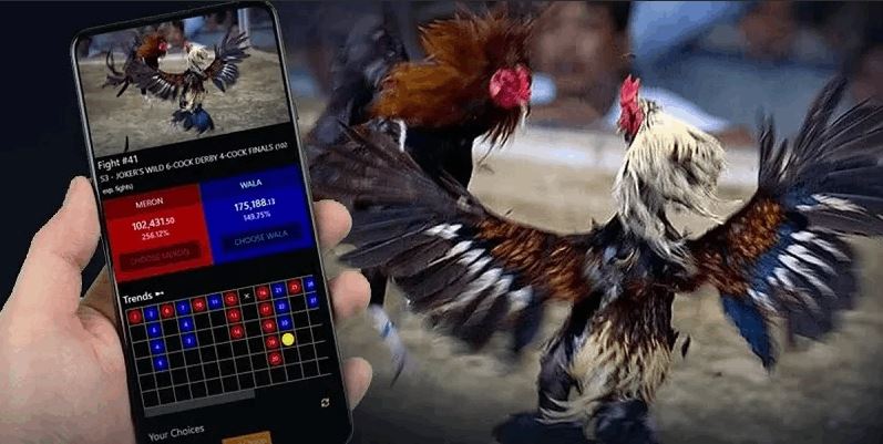 Khám phá bí mật cá cược Đá Gà Saowin – Cơ hội trúng thưởng cực cao! - Ảnh 1