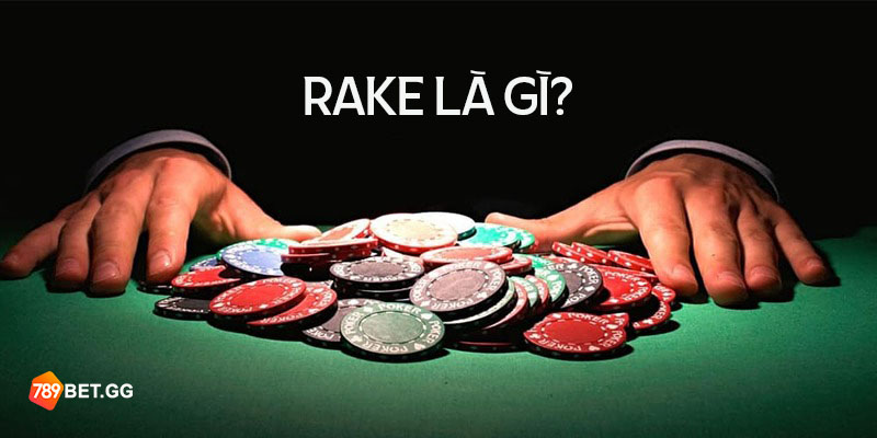 Rake trong poker là gì? Tầm quan trọng của Rake trong bài Poker - Ảnh 1
