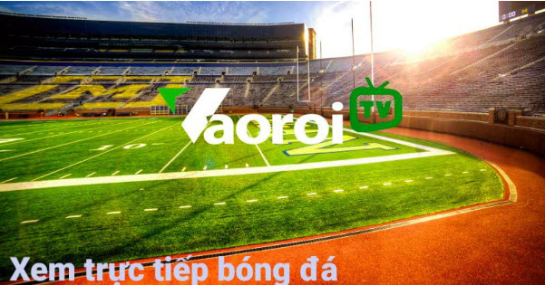 Thưởng thức bóng đá mọi lúc, mọi nơi với Vaoroi TV tại holsteraddict.com - Ảnh 3