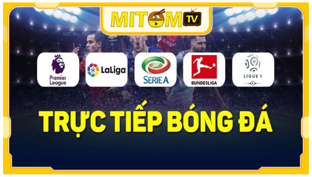 Mitom TV (mitom1.site): Cập nhật livescore bóng đá chính xác - Ảnh 2